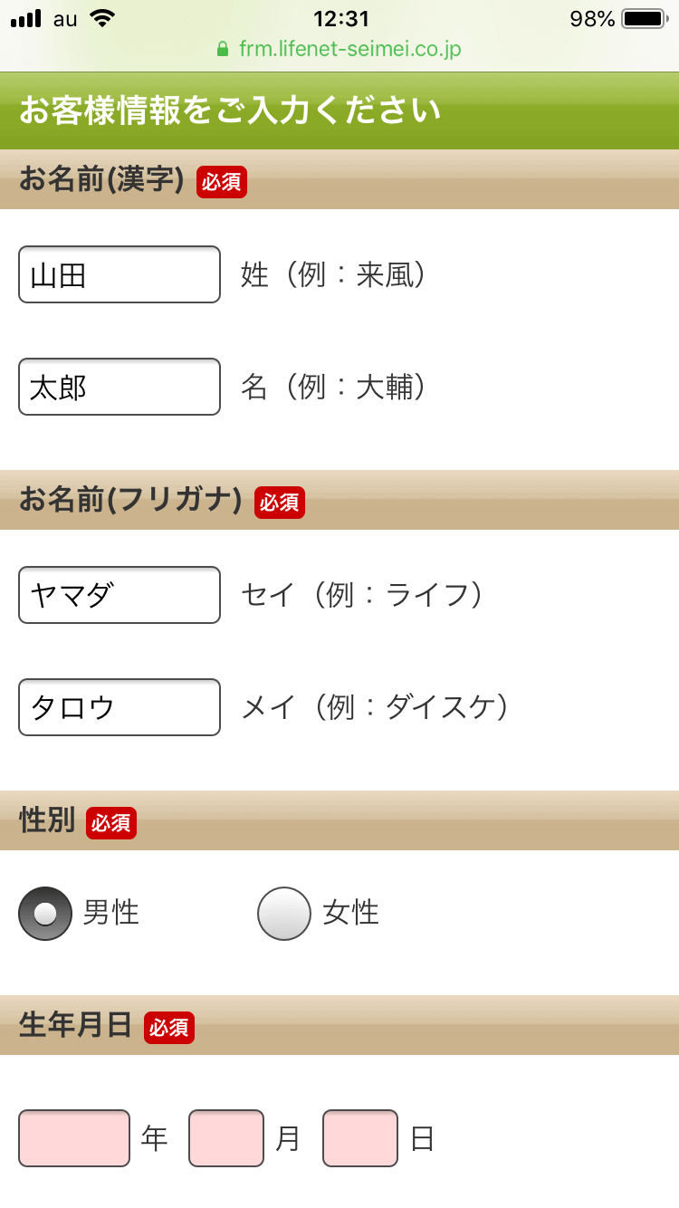 必須項目わかりやすい事例 入力後