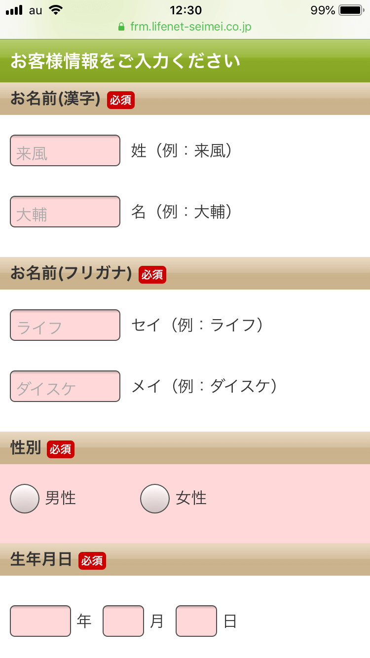 必須項目わかりやすい事例 入力前